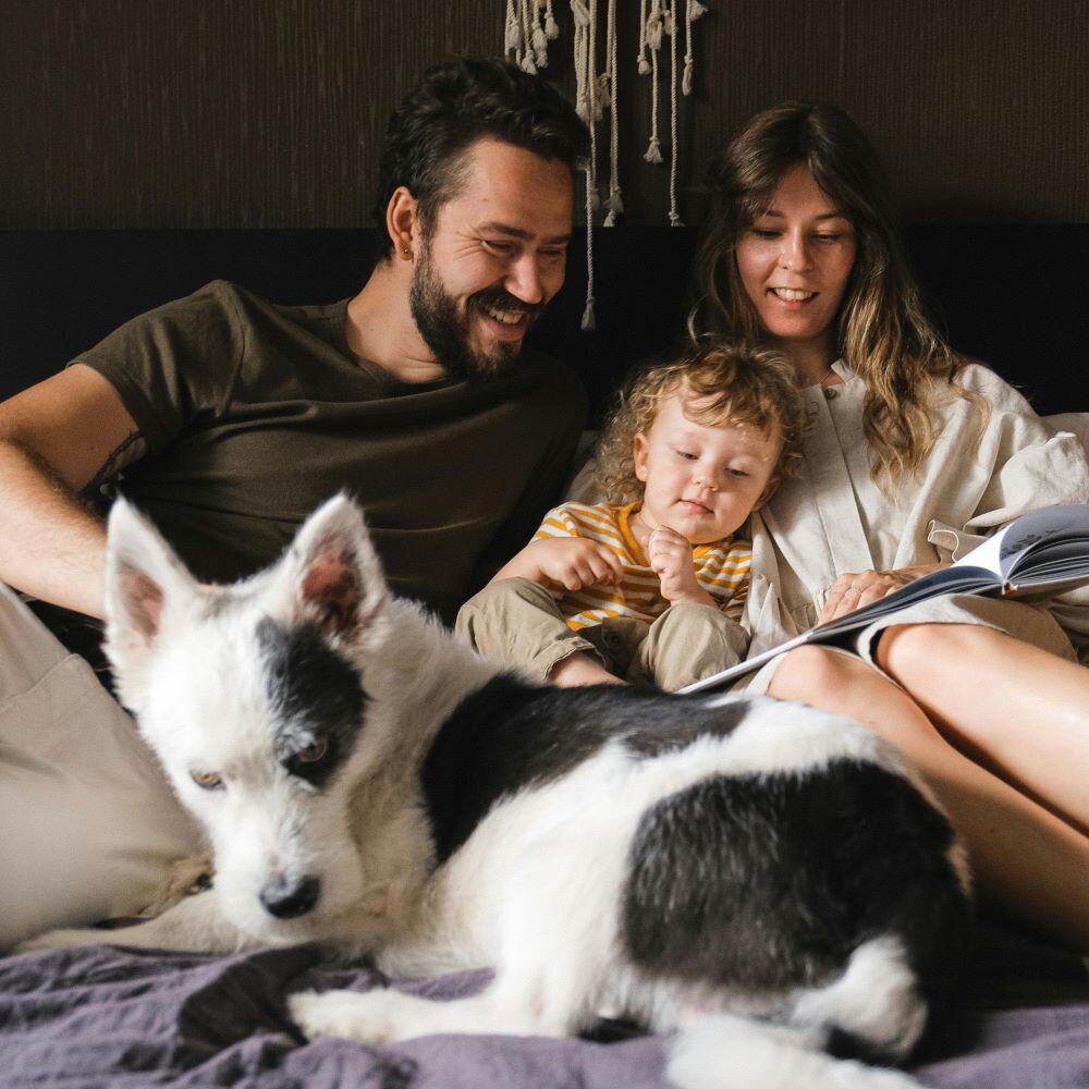 Pflegefamilie